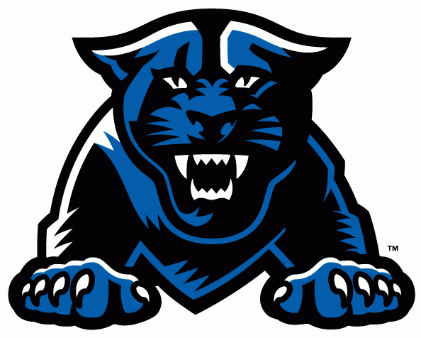 Georgia State Panthers 2010-Pres Partial Logo diy iron on heat transfer